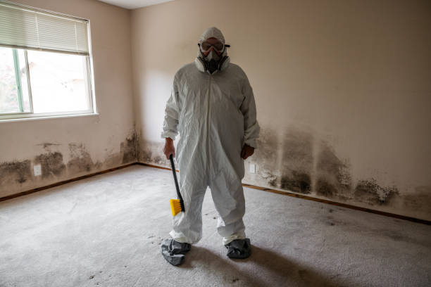 Best Crawl Space Mold Removal  in Cienega Springs, AZ